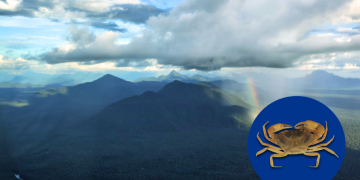 A descoberta de Okothelphusa trefauti por pesquisadores do Museu de Zoologia da Universidade de São Paulo ocorreu durante uma expedição científica realizada em 2022, no Parna do Pico da Neblina - Foto: Divulgação