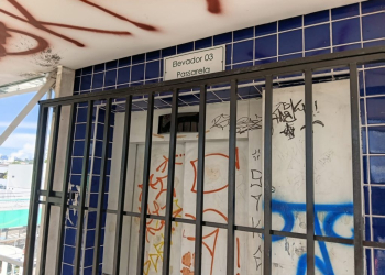 Fotos – Divulgação/IMMU