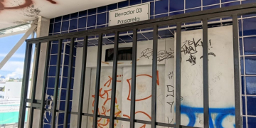 Fotos – Divulgação/IMMU