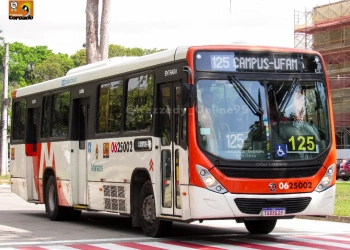 Fotos – Divulgação/IMMU