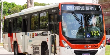 Fotos – Divulgação/IMMU