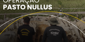 Foto: ICMbio