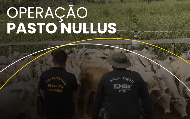 Foto: ICMbio