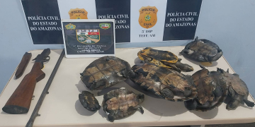 Foto: Divulgação/ PMAM