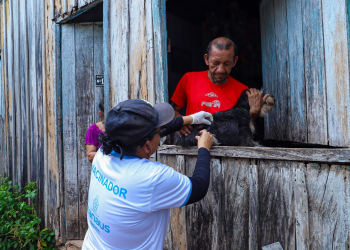 Vacinação de cão em zona rural de Manaus. Foto: Divulgação | Semsa