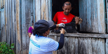 Vacinação de cão em zona rural de Manaus. Foto: Divulgação | Semsa