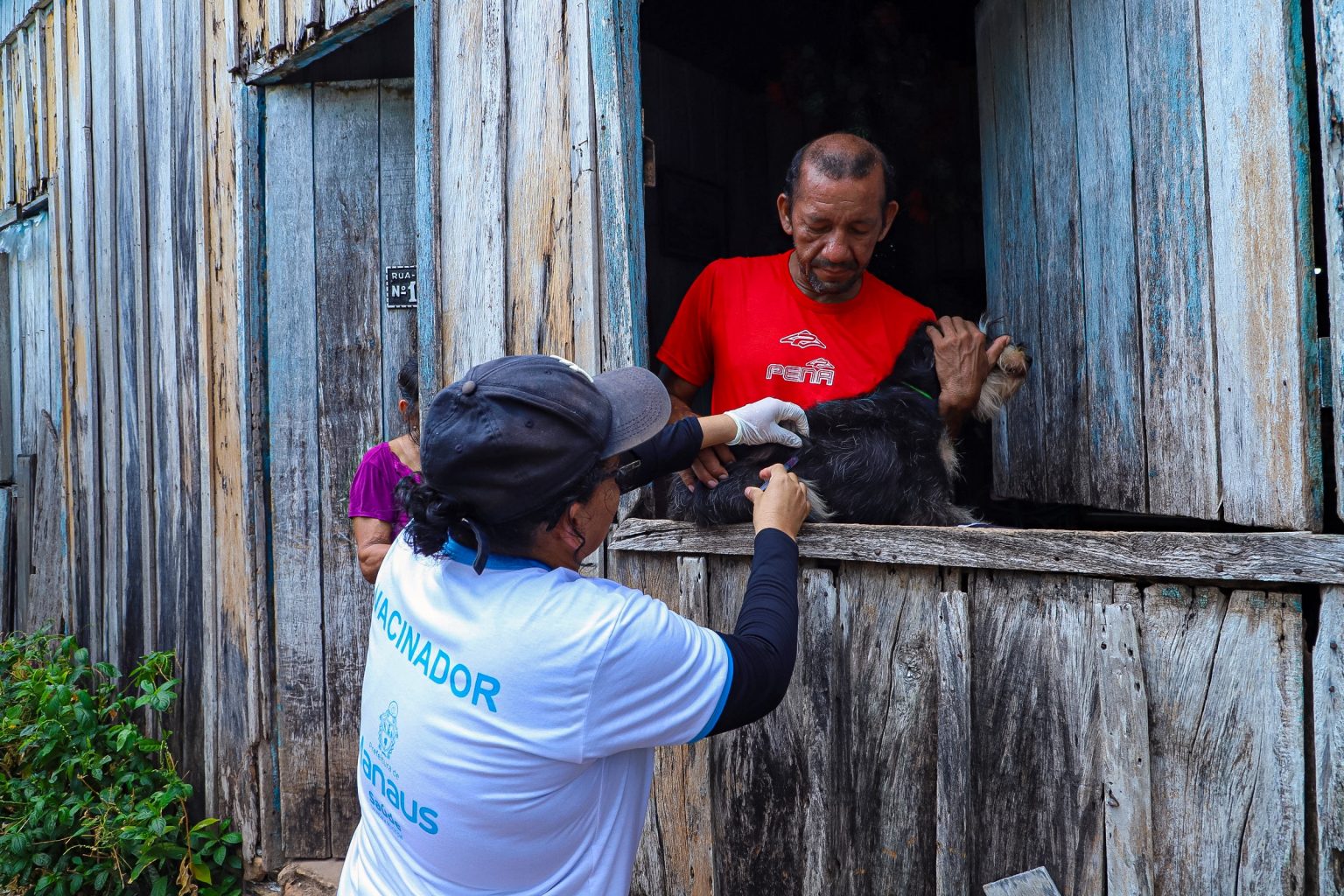 Vacinação de cão em zona rural de Manaus. Foto: Divulgação | Semsa