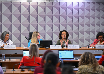 Ativistas durante debate promovido pela Comissão Permanente Mista de Combate à Violência contra a Mulher
Foto: Ton Molina/Agência Senado