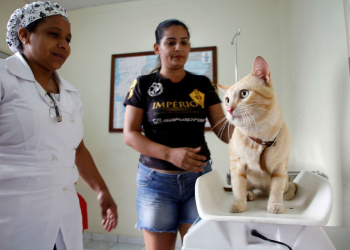 Fotos – Divulgação / Semsa