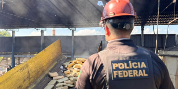Foto: PF