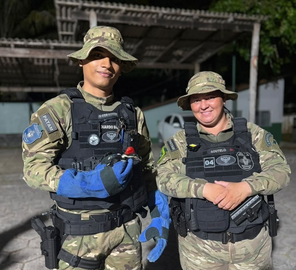 Fotos – Divulgação / Semseg