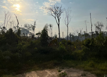Foto: Divulgação/MPAM