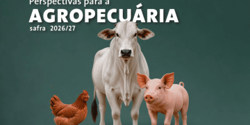 Arte: Companhia Nacional de Abastecimento