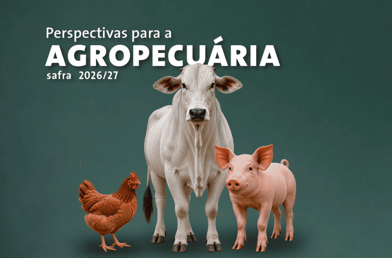 Arte: Companhia Nacional de Abastecimento