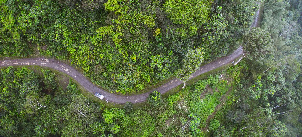 O arquipélago é considerado um paraíso de biodiversidade em São Tomé e Princípe. Foto: © IWRM AIO SIDS