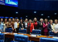 Foto: Waldemir Barreto/Agência Senado