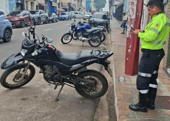 Fotos – Divulgação / IMMU