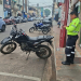 Fotos – Divulgação / IMMU