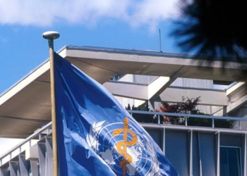 Foto: ONU NEWS